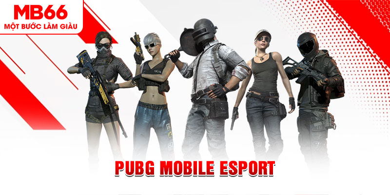 xsmn cn gà chọi c1 mới nhất