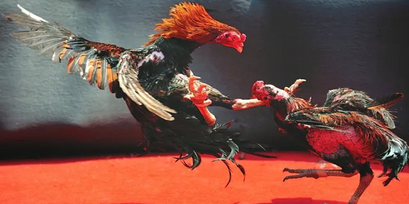 xsmn cn đăng nhập nổ hũ số 1