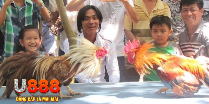 xsmn cn mơ thấy nổ hũ đánh con gì