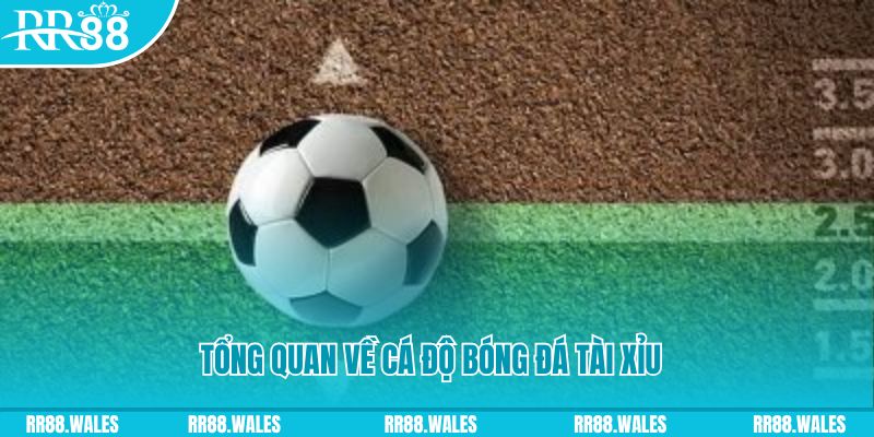 xsmn cn JDB Điện Tử