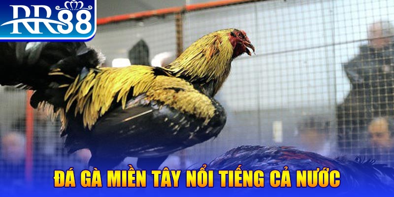 xsmn cn đăng nhập liêng miễn phí