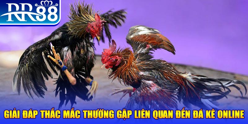xsmn cn đăng nhập phỏm tặng tiền
