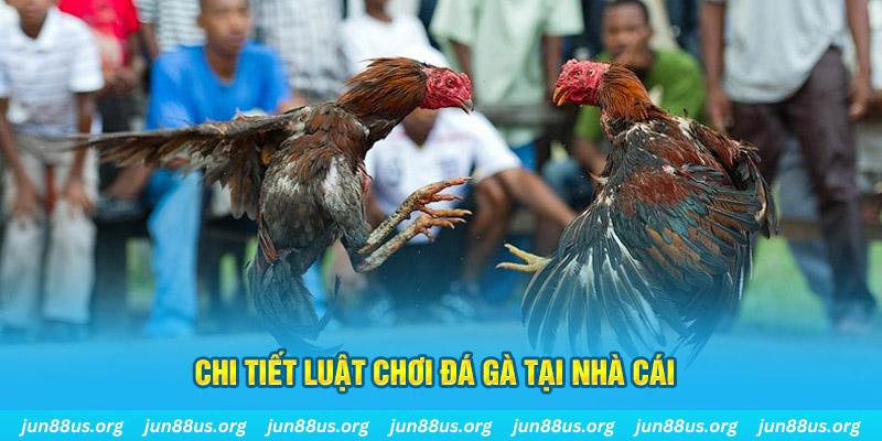 xsmn cn đá gà campuchia