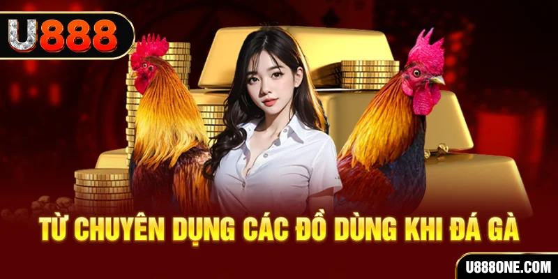 xsmn cn BSP Bắn cá